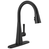 Single-Handle Pull-Down Kitchen Faucet with Touch<sub>2</sub>O&reg; Technology