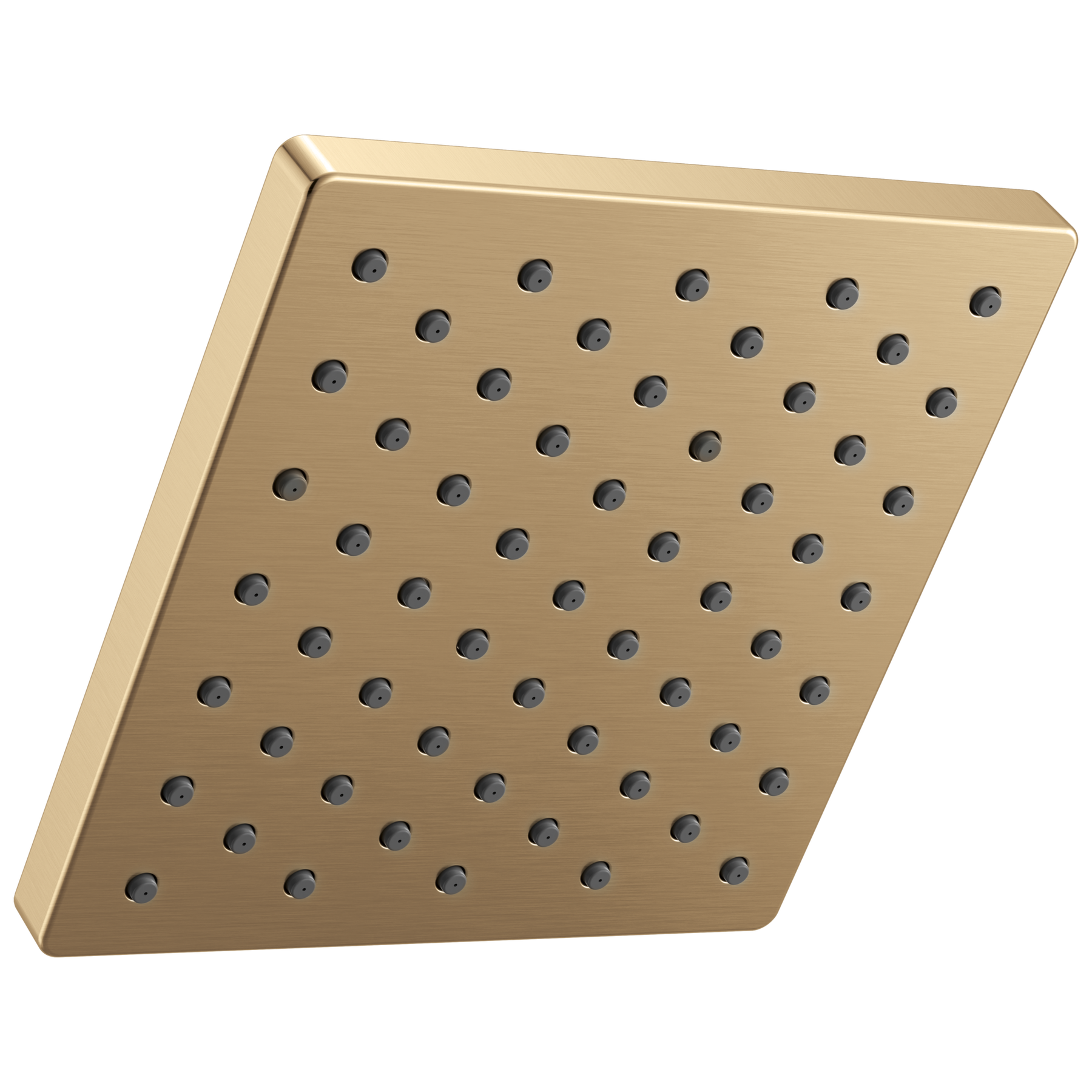 Single-Setting Shower Head
