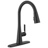 Single Handle Pull-Down Kitchen Faucet with ShieldSpray Technology (Recertified)
