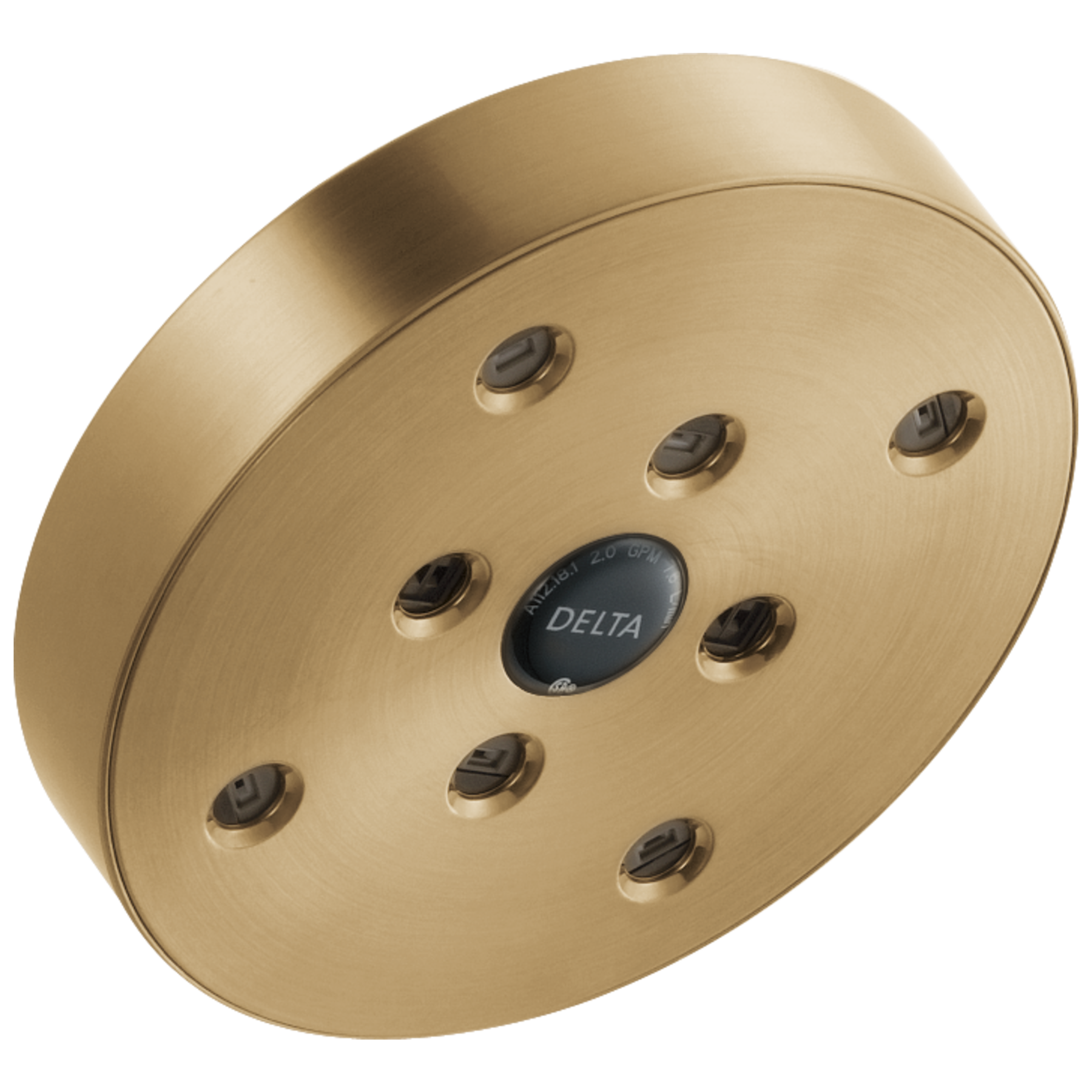 H<sub>2</sub>Okinetic&reg; Single-Setting Raincan Shower Head