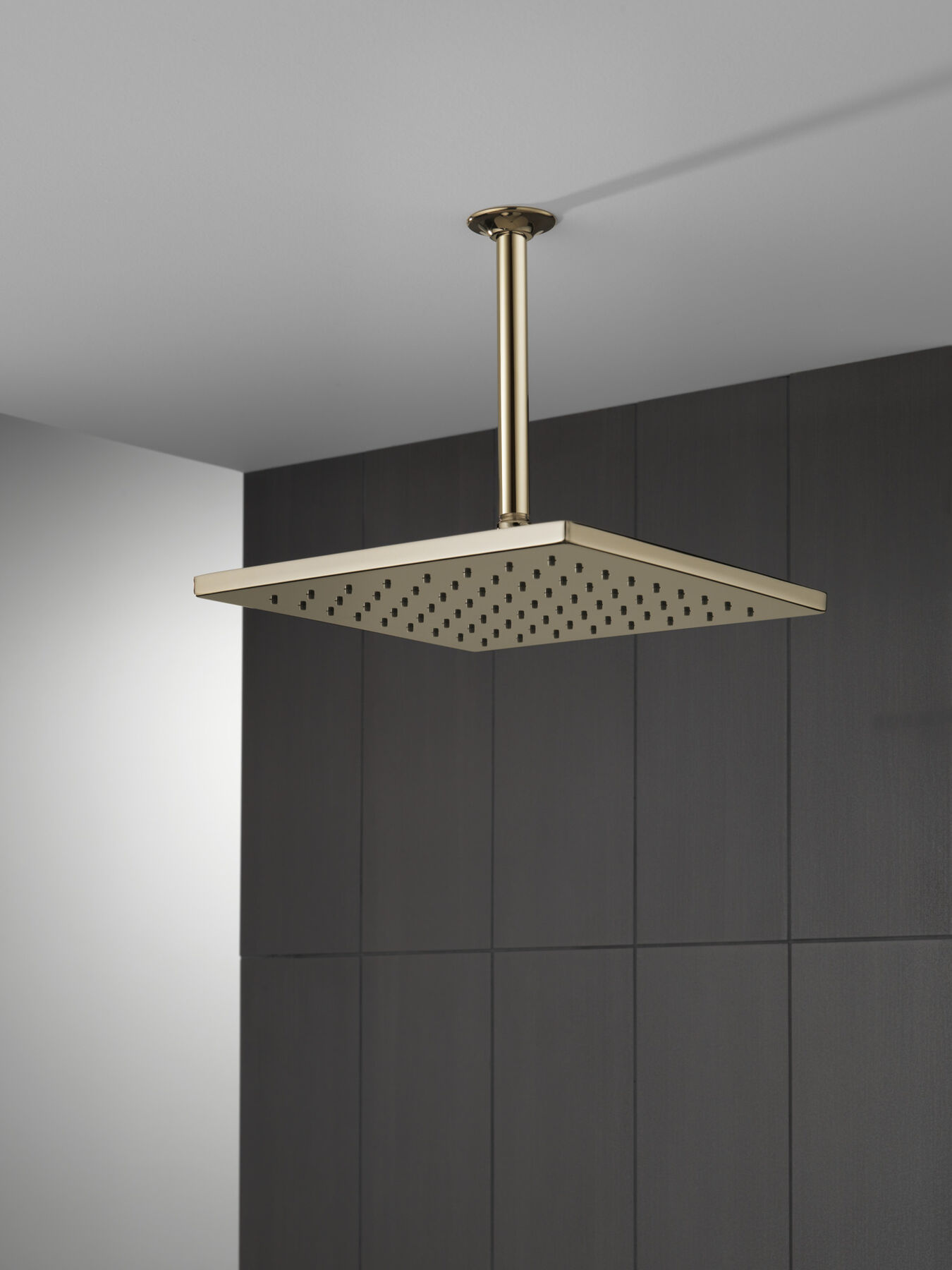 Single-Setting Metal Raincan Shower Head