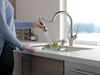 Kitchen Single Handle Pull-Down Faucet