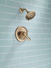 Monitor&reg; 17 Series Shower Trim