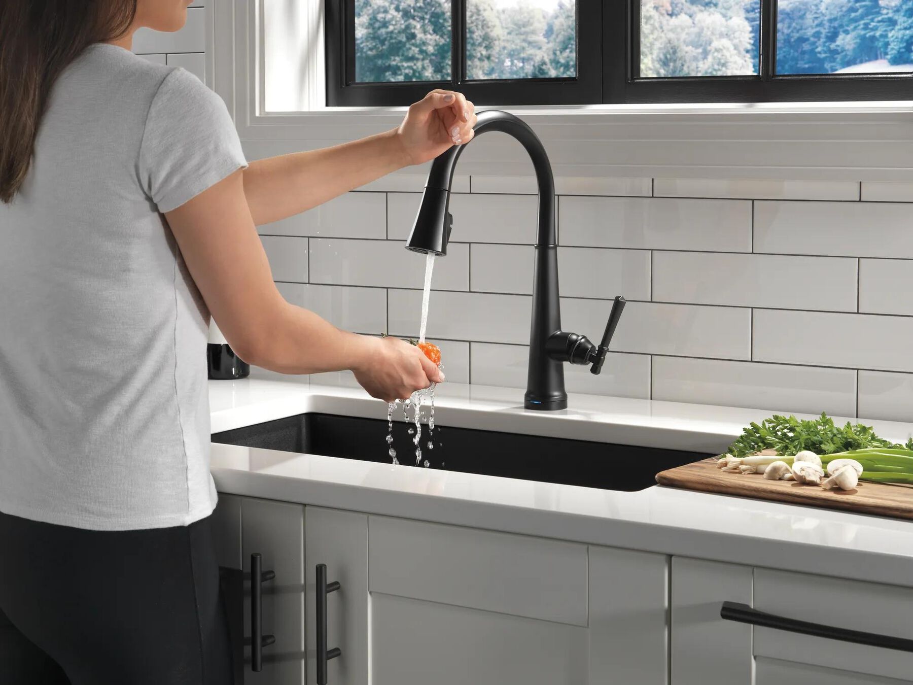 Touch<sub>2</sub>O&reg;  Pull-Down Kitchen w/ShieldSpray (Recertified)