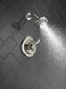 Shower Trim 17S (Recertified)