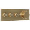 High Flow Push Button Themrostatic Trim 3 Outlet