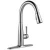 Single Handle Pull-Down Kitchen Faucet