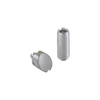Set Screw & Button - Diverter