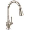 Single Handle Pull-Down Kitchen Faucet