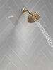 Fixed 5-Setting Showerhead