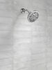 Fixed 5-Setting Showerhead