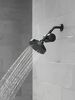 5-Setting Showerhead
