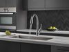 Single Handle Pull-Down Kitchen Faucet with ShieldSpray&reg; Technology
