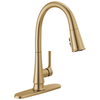 Single Handle Pull-Down Kitchen Faucet with ShieldSpray&reg; Technology