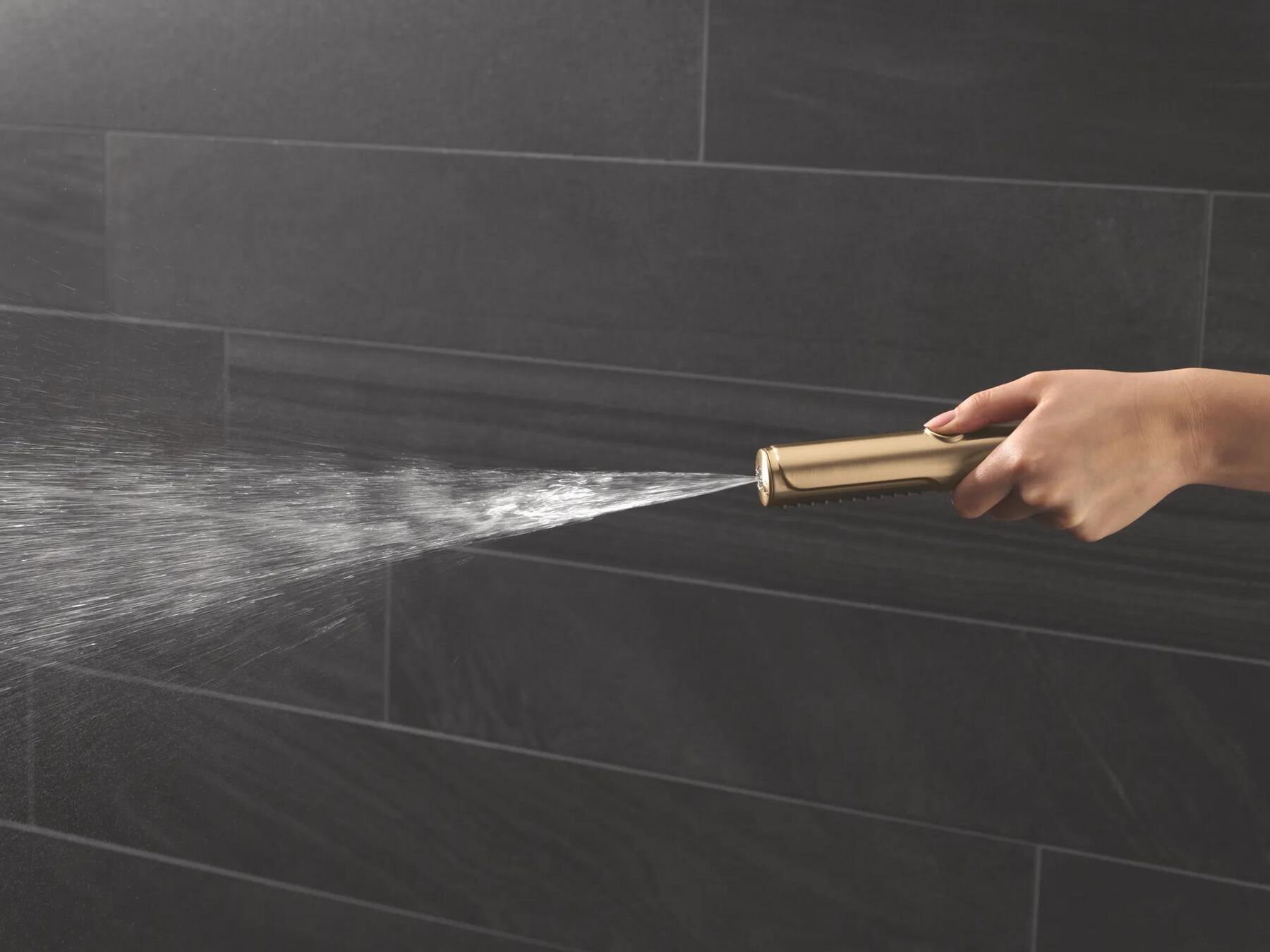 2-Setting Hand Shower with ProClean&trade; Spray