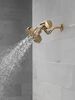 Premium Shower Filter with Shower Head Bundle