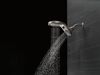 HydroRain&reg; 5-Setting Two-in-One Shower Head