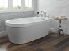 Roman Tub with Handshower Trim
