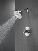Monitor&reg; 14 Series H2Okinetic&reg; Shower