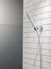 2-Setting Hand Shower with ProClean&trade; Spray &ndash; Wall Mount