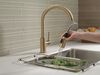 Pull-Down Kitchen Limited Swivel (Recertified)