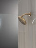 PivotPro&trade; Raincan Shower Head