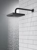 Raincan Single-Setting Shower Head (Recertified)