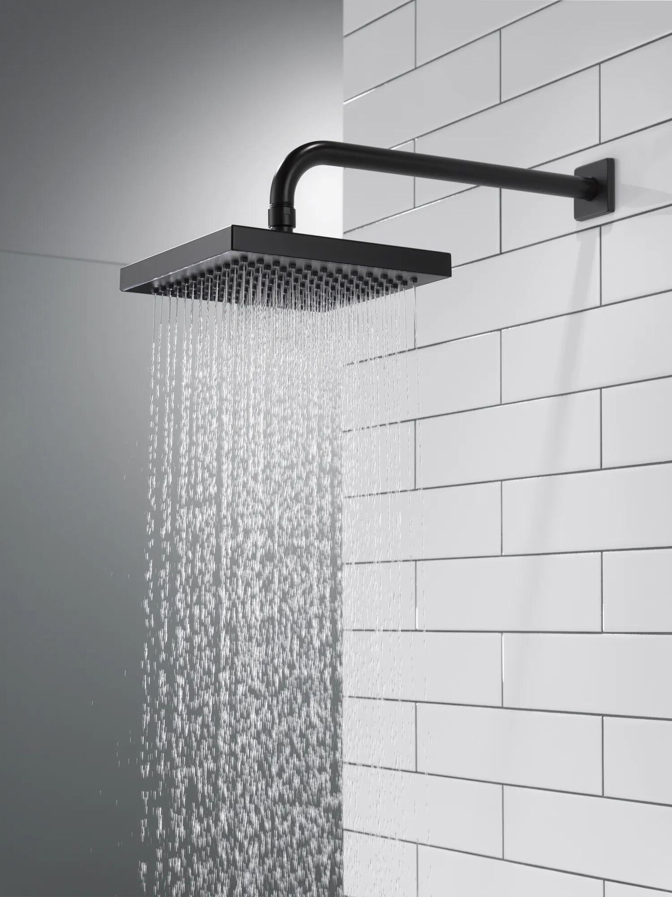 Raincan Single-Setting Shower Head (Recertified)