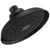 Shower Head 1.75 GPM 1-Setting