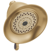 Premium 3-Setting Shower Head
