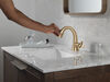 Single Handle Pull Down Bathroom Faucet
