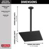Shower Arm & Flange 14" Ceiling Mount