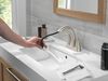 Two Handle Centerset Pull-Down Bathroom Faucet