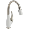 Single Handle Pull-Down Kitchen Faucet