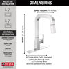 Pull-Down Kitchen Faucet (Recertified)