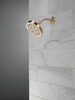 5-Setting Showerhead