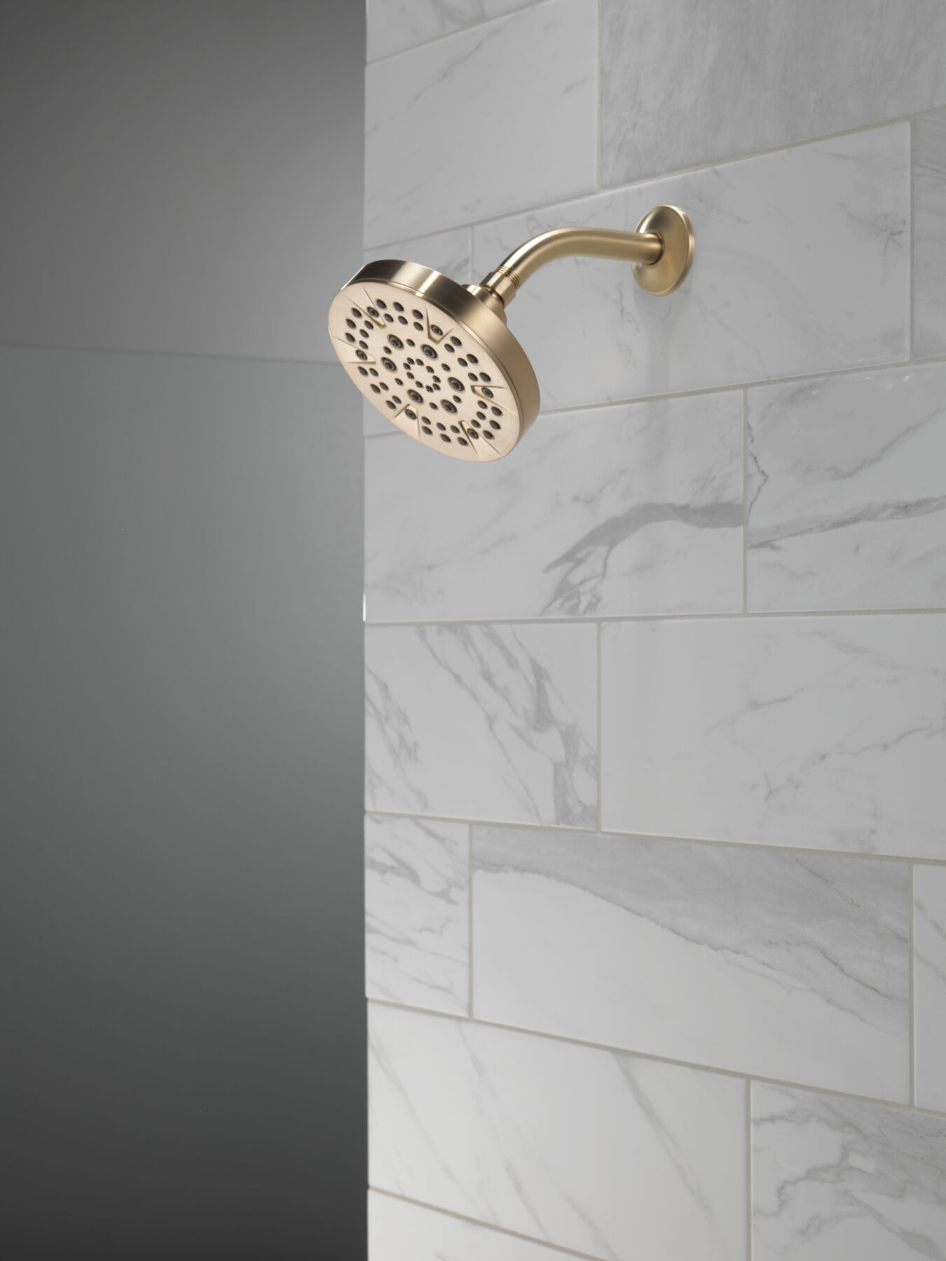 5-Setting Showerhead