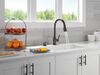 Single Handle Pull-Down Kitchen Faucet with Soap Dispenser and ShieldSpray Technology