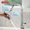Single Handle Pull-Down Kitchen Faucet with Touch<sub>2</sub>O&reg; and ShieldSpray&reg; Technologies