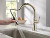 Single Handle Pull-Down Kitchen Faucet with ShieldSpray&reg; Technology