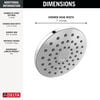 PivotPro&trade; Raincan Shower Head