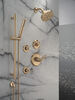 HydraChoice&reg; Body Spray Trim