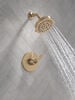 Monitor 14 Series Shower Trim