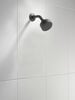 Shower Flange