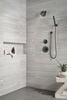 Premium Single-Setting Adjustable Wall Mount Hand Shower