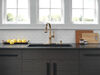 Single Handle Pull-Down Kitchen Faucet with Soap Dispenser and ShieldSpray&reg; Technology
