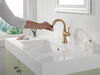 Single Handle Pull Down Bathroom Faucet (Recertified)