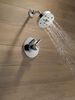 Monitor&reg; 17 Series H<sub>2</sub>Okinetic&reg; Shower Trim (Recertified)