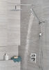 H<sub>2</sub>Okinetic&reg; 4-Setting Wall Mount Hand Shower