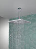 Single-Setting Metal Raincan Shower Head (Recertified)